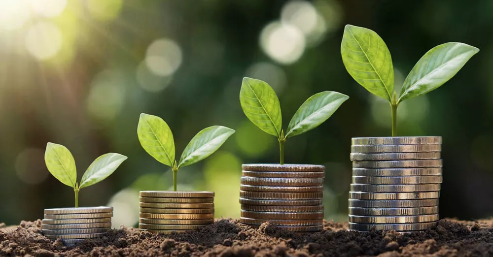 Notaire à Caluire, spécialisé en droit de la famille